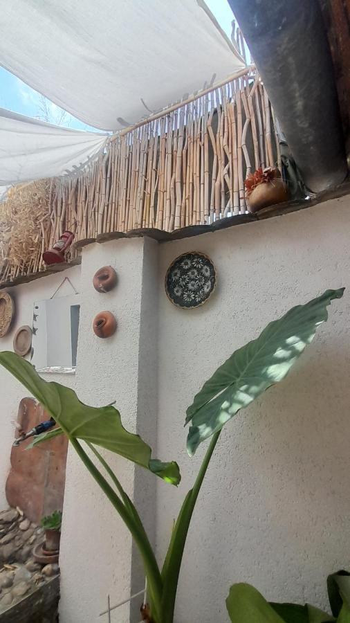 Kosta Apartments スボティツァ エクステリア 写真